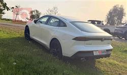 شانجان يوني في